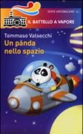 Un panda nello spazio