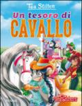 Un tesoro di cavallo