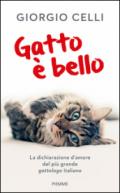 Gatto è bello