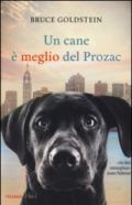 Un cane è meglio del Prozac