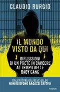 Il mondo visto da qui. Riflessioni di un prete in carcere al tempo delle baby gang