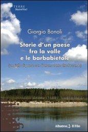 Storie d'un paese fra la valle e le barbabietole (un giallo di paese con d'attorno tante altre faccende)