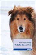 Un collie di nome Jack