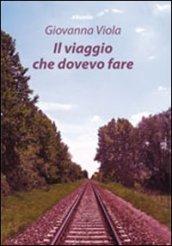 Il viaggio che dovevo fare