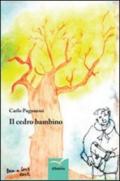 Il cedro bambino