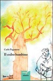 Il cedro bambino