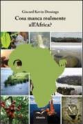 Cosa manca realmente all'Africa?