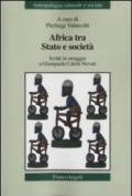 Africa tra Stato e società. Scritti in omaggio a Giampaolo Calchi Novati