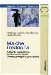 Ma che freddo fa. Appunti, esperienze, evoluzioni in tema di meteorologia organizzativa