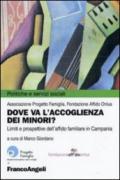 Dove va l'accoglienza dei minori? Limiti e prospettive dell'affido familiare in Campania