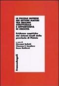 Le piccole imprese nei settori maturi tra declino strutturale e opportunità di crescita. Evidenze empiriche dai sistemi locali della provincia di Pistoia