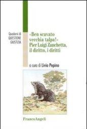 Ben scavato vecchia talpa. Pier Luigi Zanchetta, il diritto, i diritti (Quaderni di Questione giustizia)