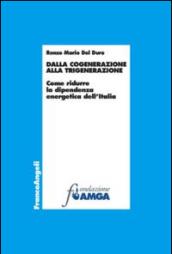 Dalla cogenerazine alla trigenerazione. Come ridurre la dipendenza energetica dell'Italia