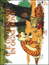 C'è un tesoro in ogni dove. Calvin & Hobbes