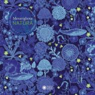 Meravigliosa natura. Ediz. a colori