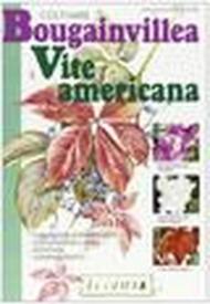 Coltivare bouganvillea e vite americana