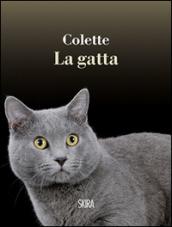 La gatta