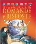 Il grande libro delle domande e risposte