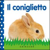 Il coniglietto