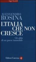 L' Italia che non cresce. Gli alibi di un paese immobile