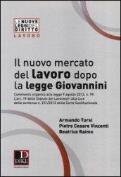 Il nuovo mercato del lavoro dopo la legge Giovannini