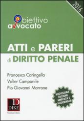 Atti e pareri di diritto penale 2017