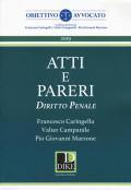 Atti e pareri di diritto penale