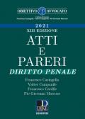 Atti e pareri di diritto penale