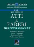 Atti e pareri di diritto penale