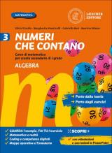 Numeri che contano. Corso di matematica per la scuola secondaria di primo grado. Con Verso la prova INVALSI. Con e-book. Con espansione online. Vol. 3: Algebra e Geometria.