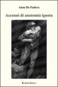 Accenni di anatomia ignota