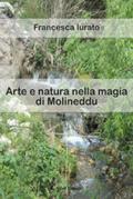 Arte e natura nella magia di Molineddu. Ediz. illustrata
