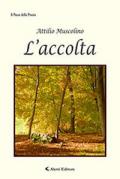 L' accolta