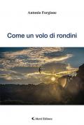 Come un volo di rondini