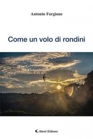 Come un volo di rondini