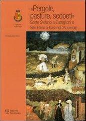 «Pergole, pasture, scopeti». Santo Stefano a Castiglioni e San Piero a Casi nel XV secolo