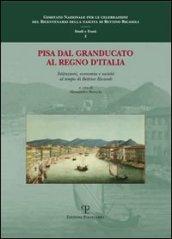 Pisa dal granducato al Regno d'Italia. Istituzioni, economia e società al tempo di Bettino Ricasoli. Atti del Convegno di studi (Pisa, 11 dicembre 2009)