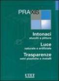 Praxis: Intonaci, stucchi e pitture-Luce naturale e artificiale-Trasparenze, vetri plastiche e metalli. Ediz. illustrata. Con CD-ROM