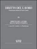 Diritto del lavoro dell’Unione Europea