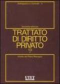 Trattato di diritto privato: 13\5