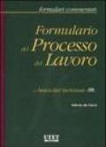 Formulario del processo del lavoro. Con CD-ROM