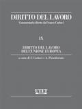 Diritto del lavoro dell'Unione Europea