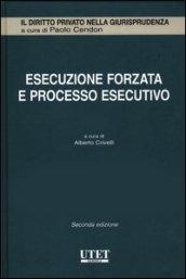 Esecuzione forzata e processo esecutivo