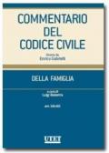 Commentario del codice civile. Della famiglia. Vol. 3