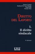 Diritto del lavoro. Vol. 1: Il diritto sindacale.