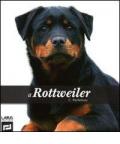 Il rottweiler