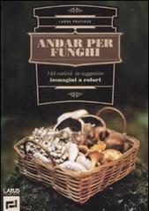 Andar per funghi