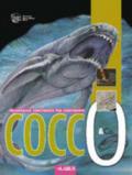 Cocco & Co.