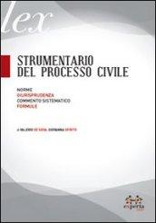 Strumentario del processo civile. Norme, giurisprudenza, commento sistematico, formule