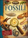 Fossili